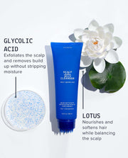 Scalp Detox Jelly Cleanser ingredients infographic for lotus and glycolic acid
